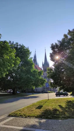 Věže kostela v Chrudimi vykukují zpoza zelených stromů, v koruně svítí slunce