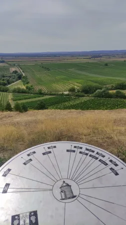 Výhled na vinice a rovinatou krajinu z vyhlídky s orientační cedulí v popředí