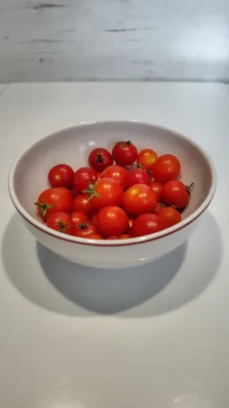 Bílá miska plná čerstvě sklizených červených cherry rajčat.