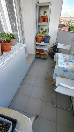Celkový pohled na lodžii plnou květináčů s bylinkami a zeleninou.