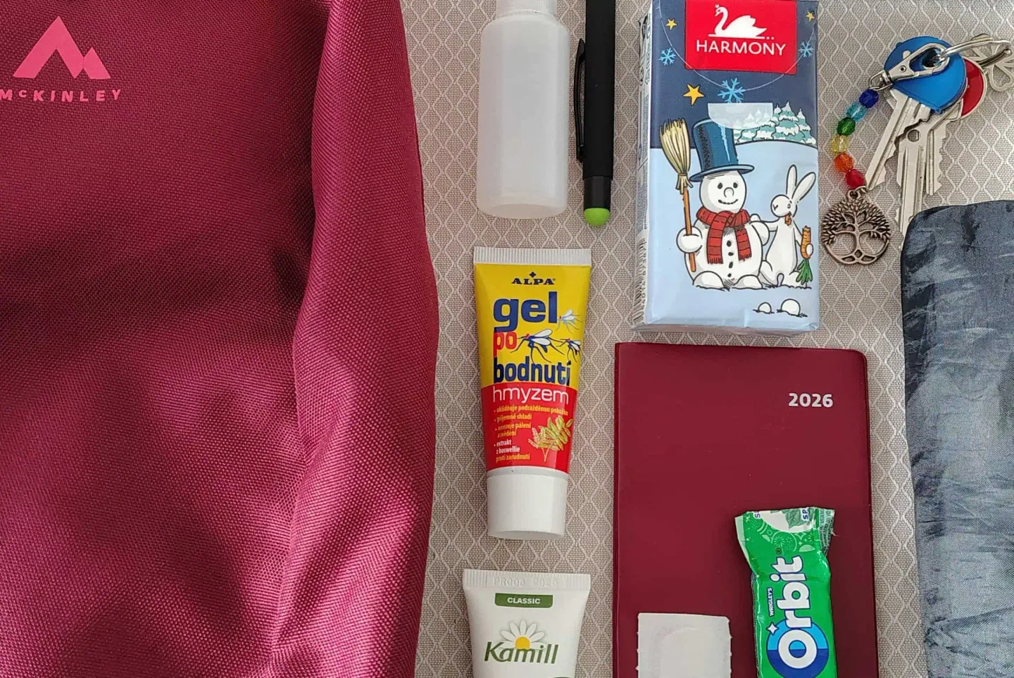 Co si beru na jednodenní výlet? Věci, které mám vždy v batohu