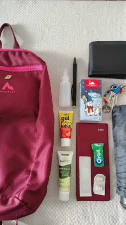 Batoh McKinley Alva a věci, které mám vždy s sebou: peněženka, klíče, kapesníčky, diář, krém a gel po bodnutí