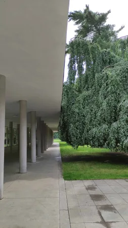 Sloupová kolonáda profesora Libenského vedle převislého stromu v Poděbradech