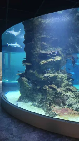 Velké válcové akvárium se žraloky a hejnem ryb