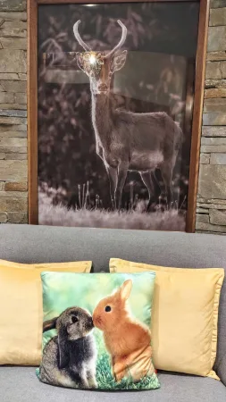 Obraz s jelenem a polštář se zajíci na gauči v hotelu