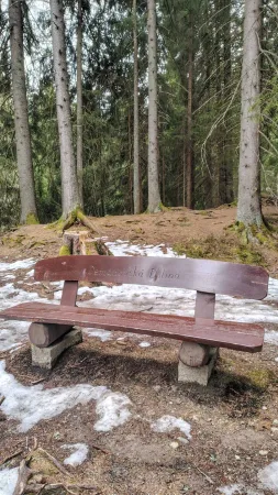 Dřevěná lavička v lese poblíž Vrbického plesa v Nízkých Tatrách