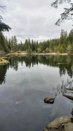 Vrbické pleso