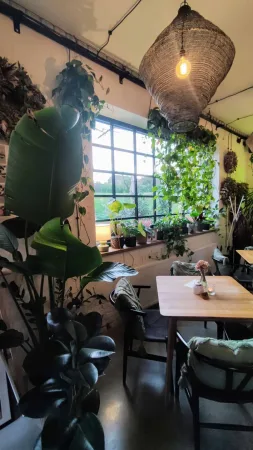 Útulný interiér kavárny Kafe a Květina plný zelených rostlin