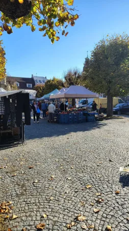 Verkaufsstände und Menschen auf einem herbstlichen Markt auf dem gepflasterten Platz in Ledeč nad Sázavou