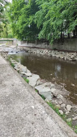 Klidný potok s kamenitými břehy protékající zelení uprostřed města.