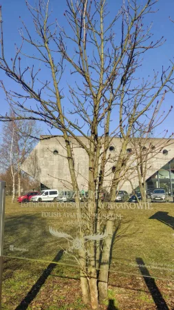 Vstupní cedule Muzea polského letectví v Krakově před moderní budovou s prosklenou fasádou.