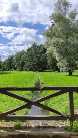 Dřevěná ohrada nad potokem uprostřed zelené louky