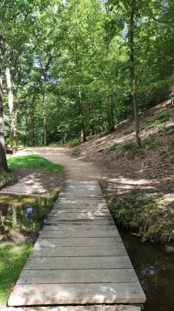 Dřevěná lávka přes potůček na lesní cestě parkem