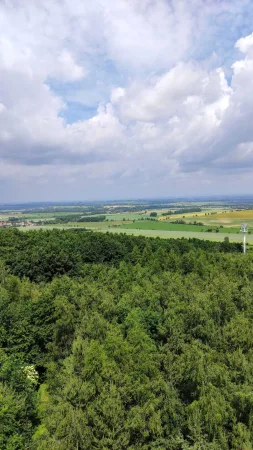 Pohled z rozhledny na zelený les a rozlehlá pole pod oblačným nebem