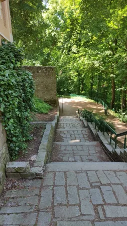 Kamenné schody mezi břečťanem a zdí vedoucí do stinného parku v Táboře