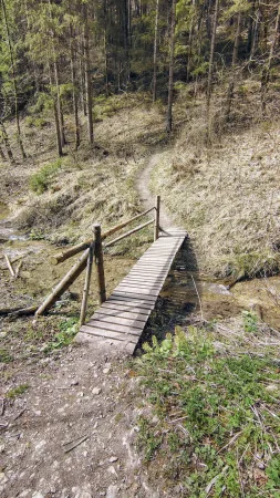 Fahíd egy erdei patak felett egy kalaményi turistaösvényen