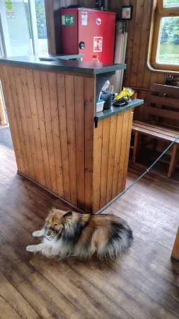 Chlupatý pes odpočívá na dřevěné podlaze paluby během plavby po přehradě.