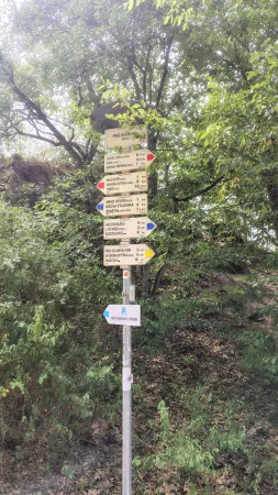 Turistický rozcestník s ukazateli tras v lese poblíž hradu Veveří.