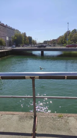 Racek přelétá nad zeleným kanálem s mostem v centru Rijeky