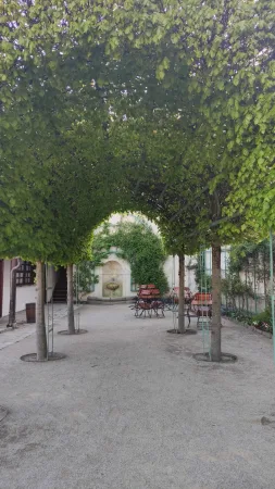 Zelená alej ze stromů vedoucí k fontáně na nádvoří zámecké zahrady