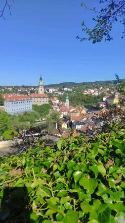Výhled na zámeckou věž a střechy Českého Krumlova skrze zelené listy břečťanu