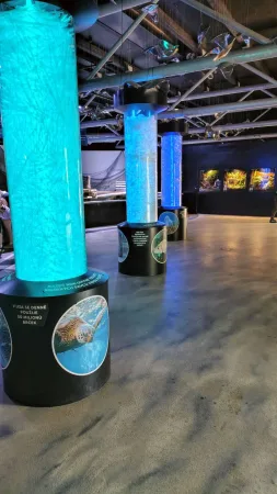 Eine beleuchtete Expozition im Zoo Lešná Zlín