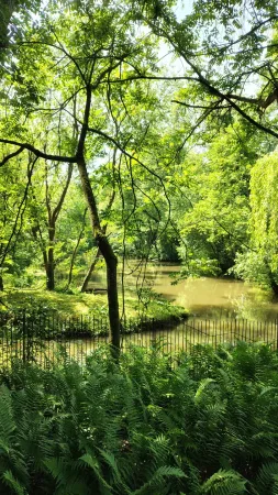Ein grüner Teich umgeben von Bäumen und Farnen im Park des Zoos Lešná