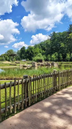 Ein ruhiger Teich mit Gehege und blauem Himmel im Zoo Lešná an einem Sommertag