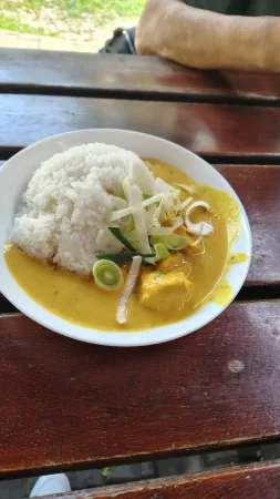 Ein Teller Curry mit Reis und Gemüse, serviert im Restaurant des Zoos Lešná