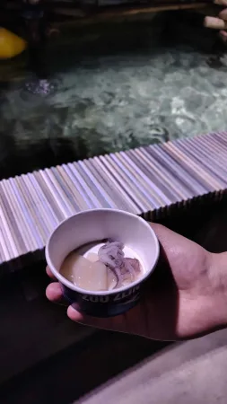 Eine Hand hält einen Fütterungsbecher für Rochen im Becken des Zoos Lešná