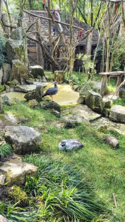 Vögel an einem Teich in der Amazonien-Expozition im Zoo Lešná Zlín