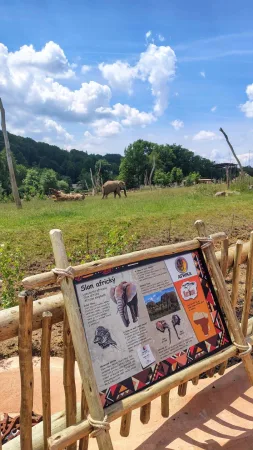 Informationstafel über afrikanische Elefanten mit einem grasenden Elefanten im Hintergrund im Zoo Lešná