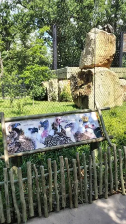Informationstafel mit Geierarten an ihrem Gehege im Zoo Lešná Zlín