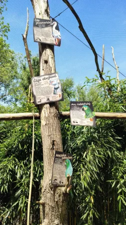 Informationstafeln zu Vogelarten Amazoniens an einem Baum im Zoo Lešná