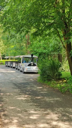 Ein kleines Touristenzüglein mit Zebramotiv fährt durch den Park des Zoos Lešná