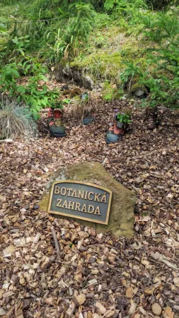Kamenná cedule s nápisem Botanická zahrada obklopená drobnými květinovými botami