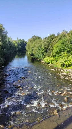 Kamenité koryto řeky Bečvy s peřejemi obklopené zelení