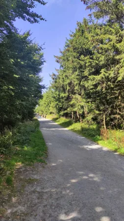 Lesní pěšina vedoucí hustým listnatým lesem pod Radhoštěm