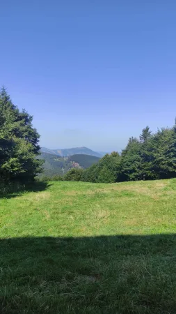Výhled z travnaté louky na Pustevnách na okolní beskydské kopce