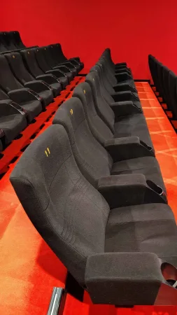 Řady tmavých sedadel v prázdném kinosále s červeným kobercem
