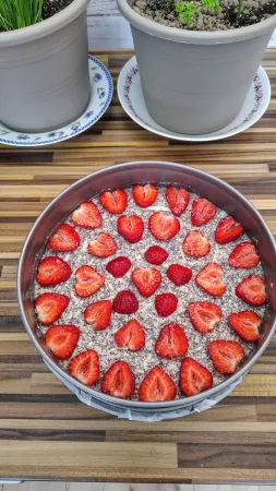 Gâteau au pavot avec des fraises dans un moule rond, vue de dessus avant cuisson