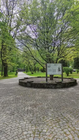 Klidná cestička parkem kolem vzrostlého stromu s informační tabulí