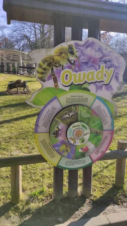 Naučná tabule o hmyzu s obrázky včely a motýla v areálu zoo