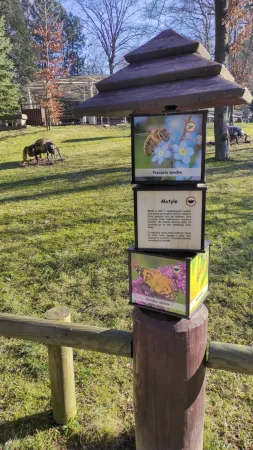 Naučná dřevěná tabule s fotografiemi včely a motýla v zoo parku